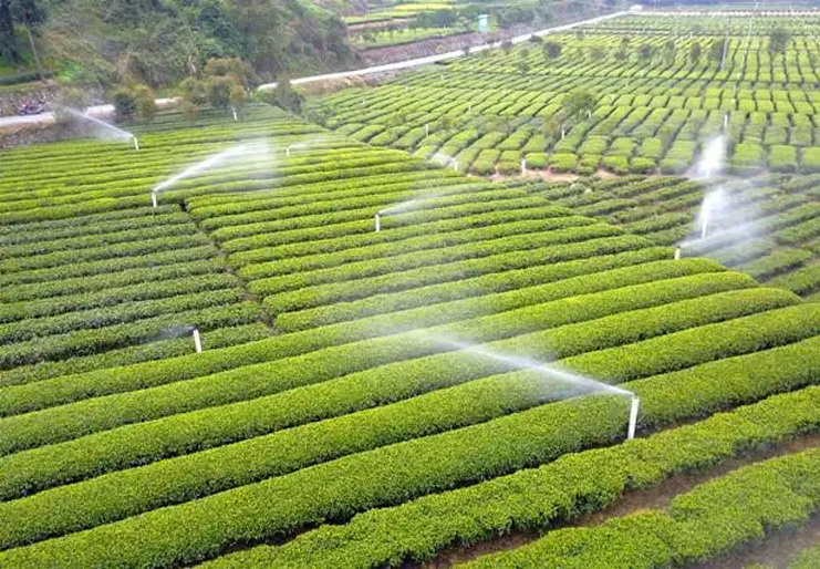 水肥一體化